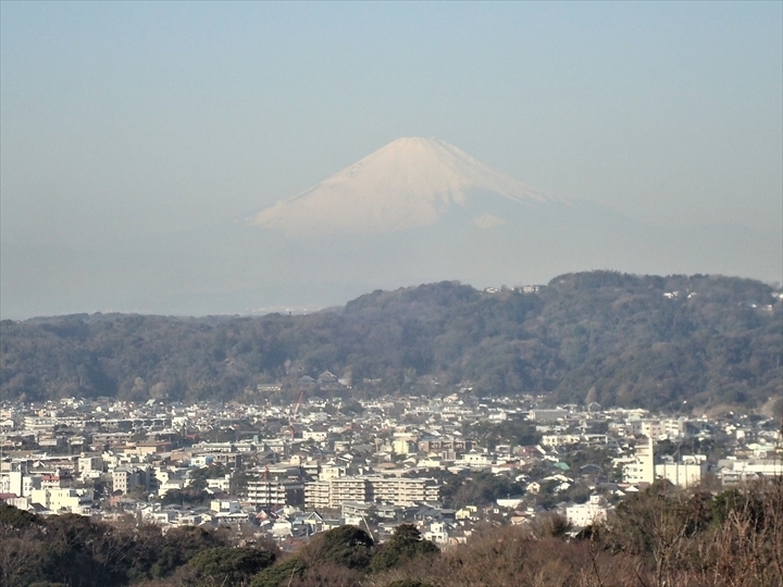 パノラマ台富士山.jpg