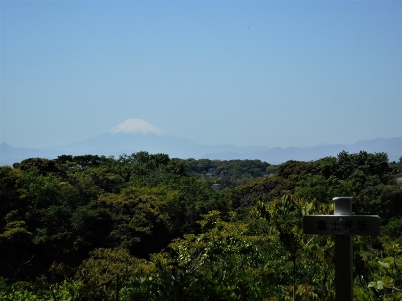富士山眺望_R.JPG