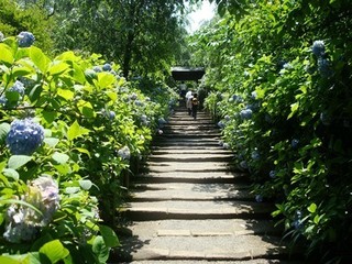 @RAWTC.JPG