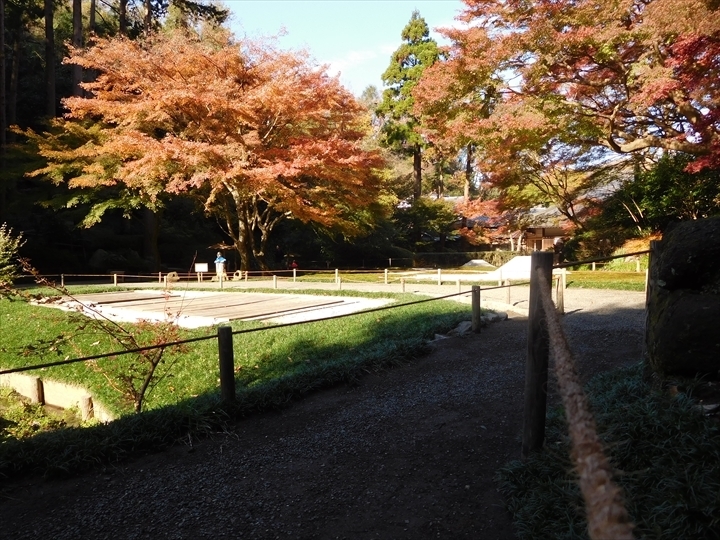 明月院後庭園紅葉3_R.JPG
