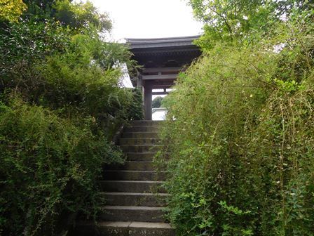 海蔵寺山門.JPG
