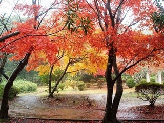 源氏山公園2.JPG
