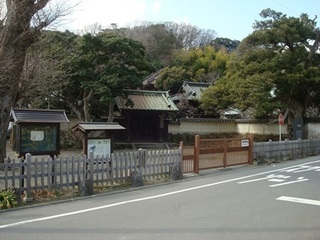p1.JPG