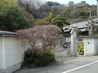 p2.JPG