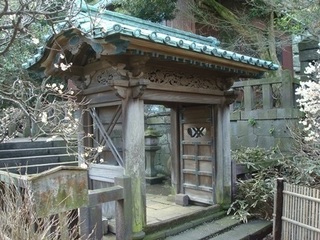 p5.JPG