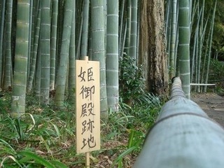 p|2.JPG