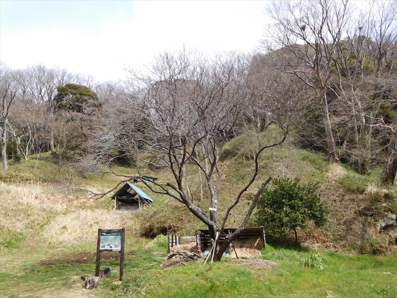 鎌倉中央公園ハナモモ1_R.JPG