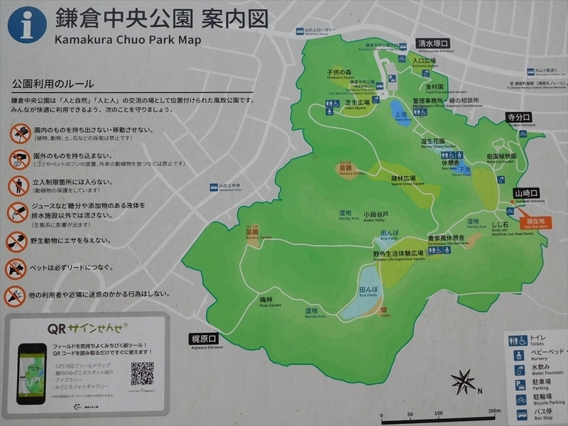 鎌倉中央公園案内図_R.JPG
