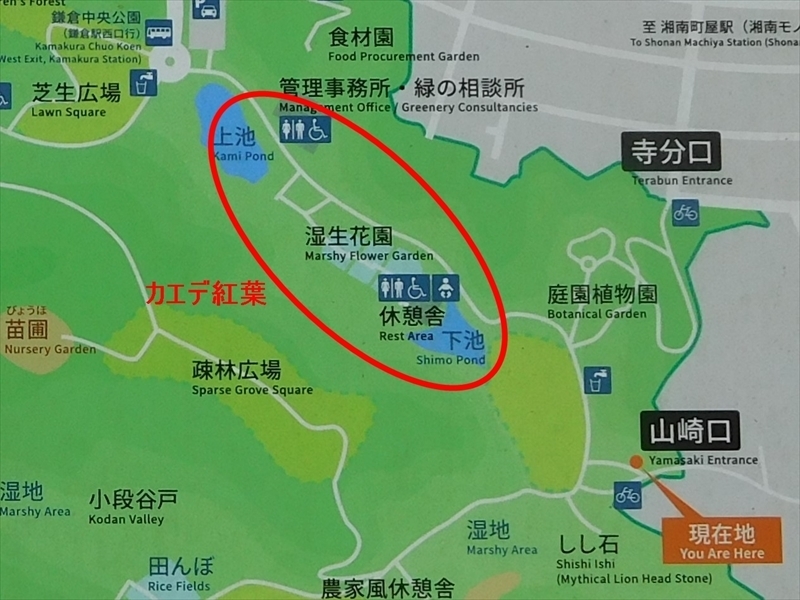鎌倉中央公園案内図_R.JPG