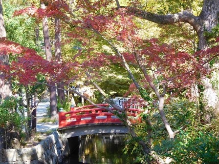 鎌倉国宝館前紅葉2_R.jpg