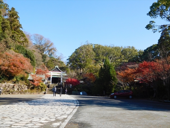 鎌倉宮社殿前紅葉1_R.JPG