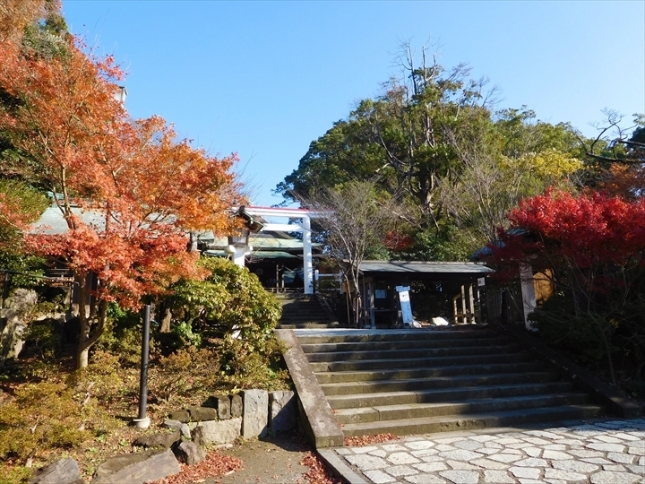 鎌倉宮社殿前紅葉2_R.JPG