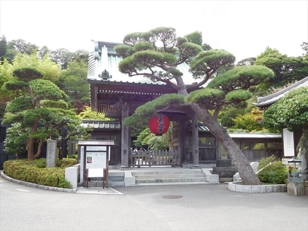 長谷寺山門_R.jpg