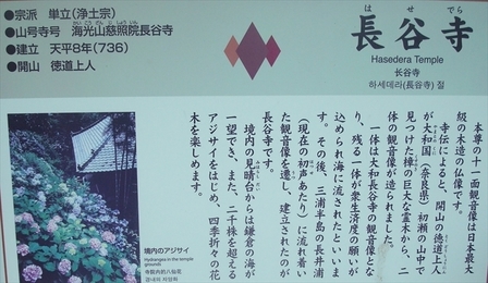長谷寺案内板_R.jpg